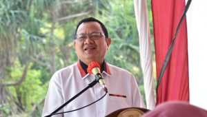Anggota DPR RI Sudin