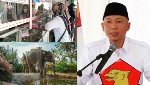 Berita Terpopuler Harga Emas | Wisata Lembah Hijau | Instruksi Rahmat Mirzani Djausal