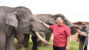 Ketua Komisi IV DPR Sudin