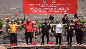 Ketua Komisi IV DPR Sudin tanam mangrove di Pulau Pasaran