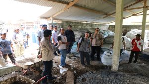 Bimtek pengolahan pupuk organik