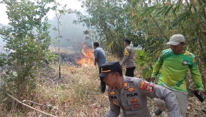 Kebakaran lahan di Pringsewu Lampung