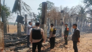 Kandang ayam terbakar di Pringsewu