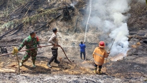 Kebakaran Lahan di Tanggamus Lampung