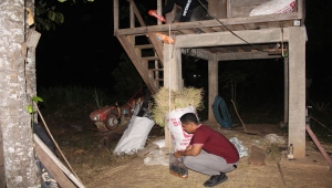 Pensiunan PNS tewas tergantung di gubuk Pringsewu