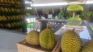 Saburai Durian & Resto Bandar Lampung