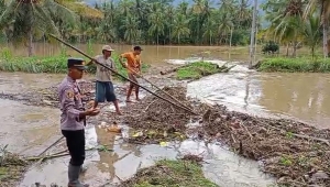 Banjir di Semaka Tanggamus