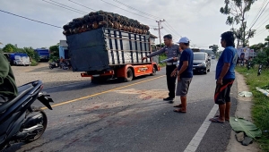 Kecelakaan maut di Pringsewu