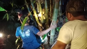Pria meninggal dunia di bawah pohon bambu