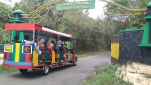 Taman Nasional Way Kambas Lampung