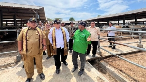 Wakil Menteri Pertanian Harvick Hasnul Qolbi didampingi Gubernur Lampung Arinal Djunaidi saat kunjungan kerja ke Lampung Selatan