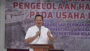 Ketua Komisi IV DPR Sudin