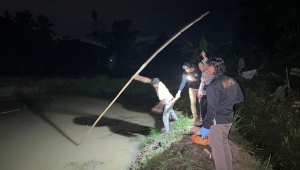 Pria di Pringsewu tenggelam di kolam ikan