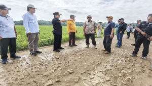Pj Bupati Pringsewu Marindo Kurniawan