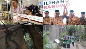 5 Berita Terpopuler