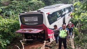 Bus Berpenumpang 18 Orang Masuk Jurang di Lampung Barat