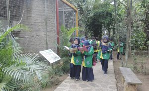 Study Tour