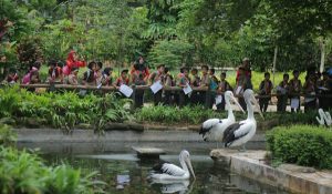 Study Tour