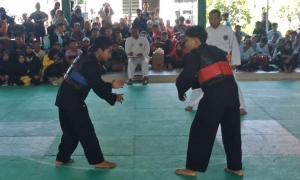 Pesilat Lampung