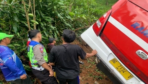 Bus Masuk Jurang di Lampung Barat