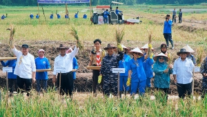 Ketua Komisi IV DPR Sudin Panen Raya di Lampung