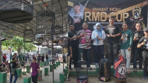 Lomba Kicau Burung RMD Cup 2024