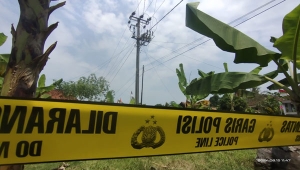Petugas PLN Tewas Tersengat Listrik di Lampung Timur