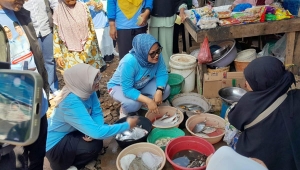 Calon Bupati Lampung Timur, Ela Siti Nuryamah blusukan di Pasar Way Mili Gunung Pelindung