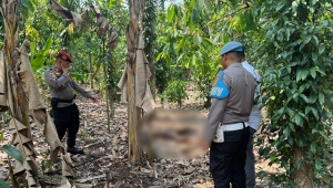 Penemuan Mayat di Pringsewu