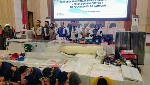 Polda Lampung Ungkap Penyelundupan Benih Lobster