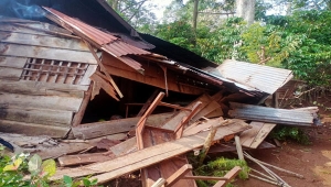Gajah Liar Rusak 15 Rumah Warga di Lampung