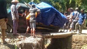 Jembatan batang kelapa di Lampung Timur