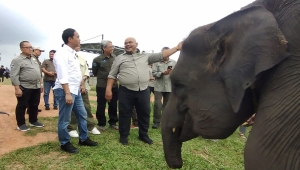 Menhut Raja Juli Kunjungi Way Kambas