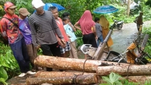 Pria di Tanggamus tewas tertimpa motor muatan kayu
