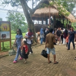 Taman Wisata dan Taman Satwa Lembah Hijau Lampung