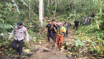 Serangan Harimau Sumatera di Lampung