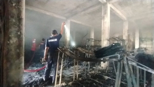Kebakaran Ruko Mangga Dua Store Lampung Timur