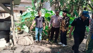 Wanita Ditemukan Tewas di Kandang Sapi di Lampung Tengah