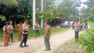 Kawanan Gajah Liar Masuk Pemukiman Warga di Tanggamus