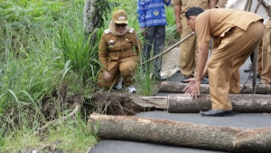Jalan Rusak di Lampung Timur