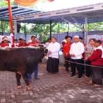 PDIP Lampung Potong 25 hewan kurban saat Idul Adha 2025