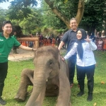 Lembah Hijau