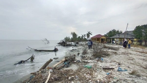 Abrasi Pesisir Lampung Timur