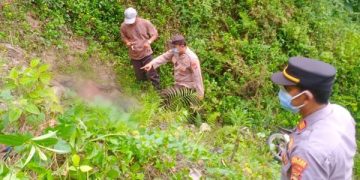 Korban Kecelakaan di Tanggamus