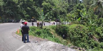 Kecelakaan Minibus Isuzu Elf Masuk Jurang di Tanggamus Lampung