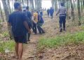 Kades di Lampung Timur Tewas Diserang Gajah Liar