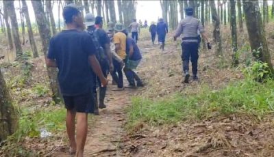 Kades di Lampung Timur Tewas Diserang Gajah Liar