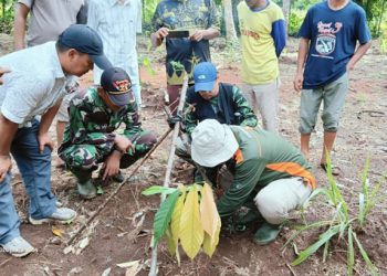 BKSDA Turun ke Lokasi Dugaan Munculnya Harimau di Lampung Timur