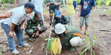 BKSDA Turun ke Lokasi Dugaan Munculnya Harimau di Lampung Timur