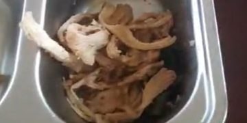 Keracunan MBG di Lampung Timur